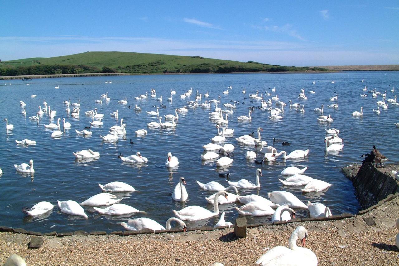 Abbotsbury Tea Rooms Экстерьер фото